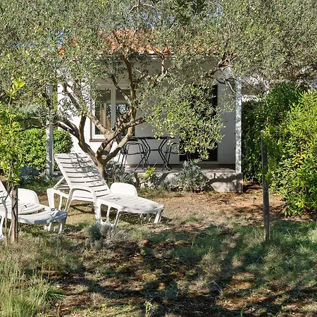 Luce By Interhome * Vir