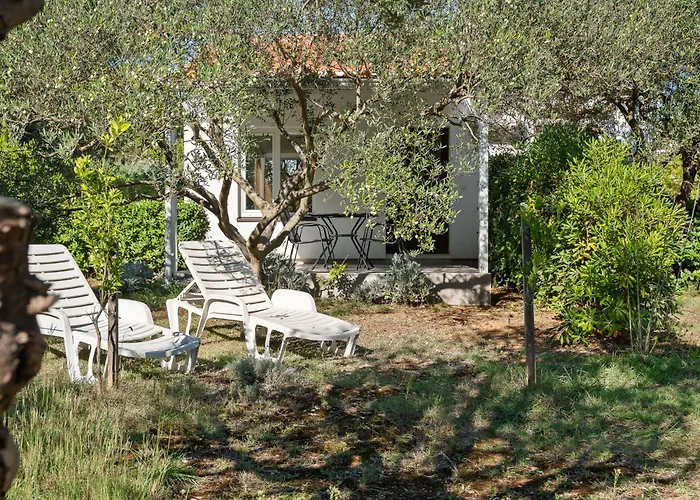 Luce By Interhome * Vir